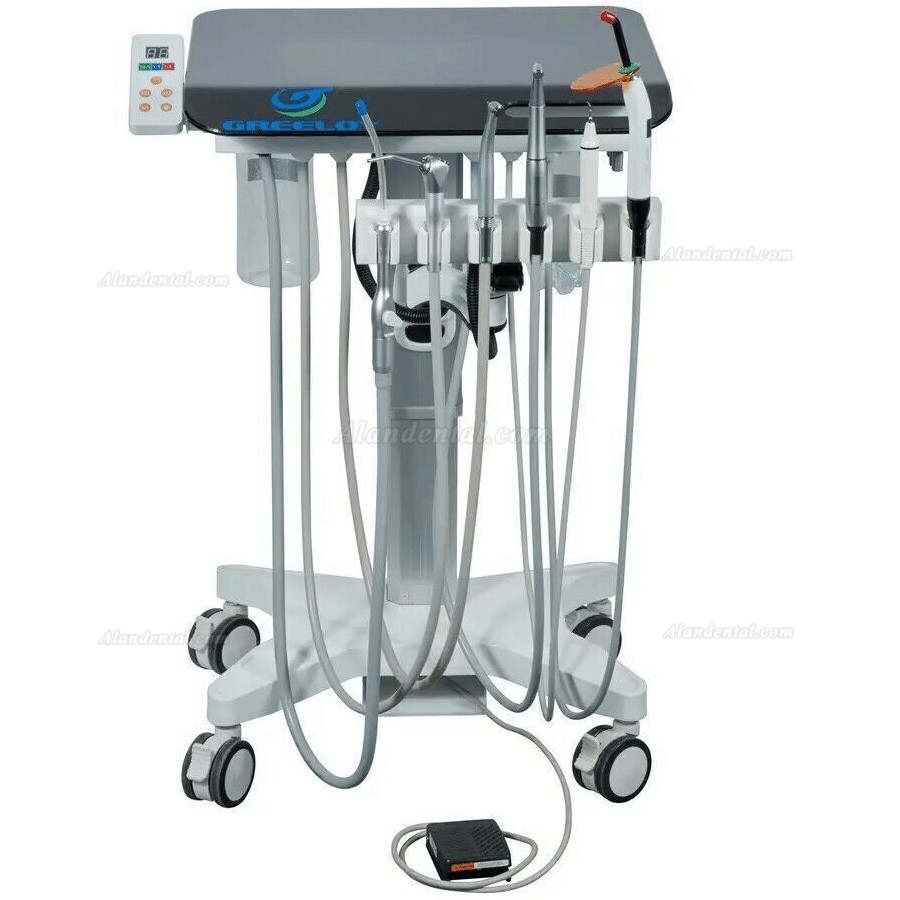 Greeloy GU-P302S Dental Delivery Units  Mobile Dental Cart with Electric Dental Motor